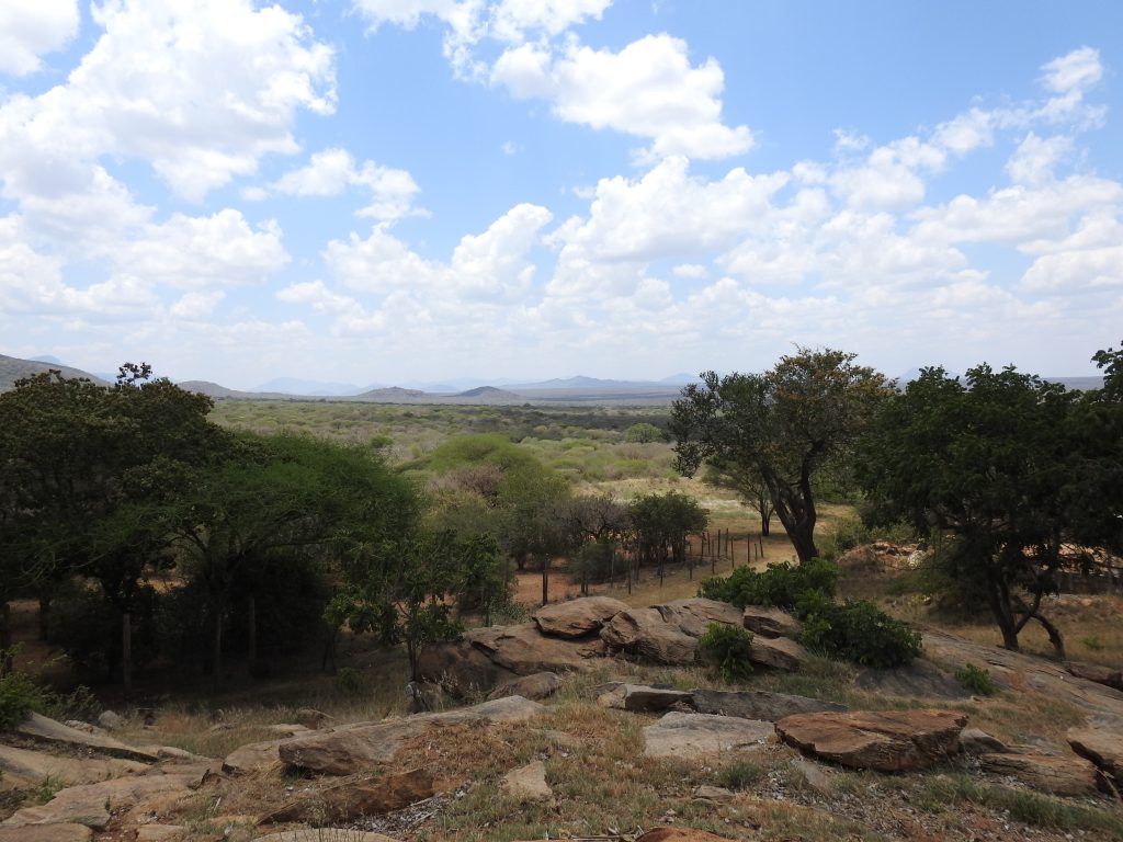 Mkomazi view