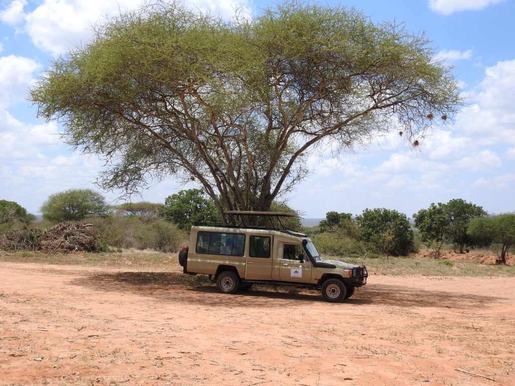 Malaika Jeep Mkomazi