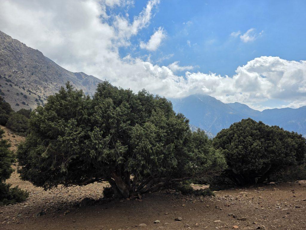 Azzaden Valley and Refuge at Azib n'Tamsoult trekking