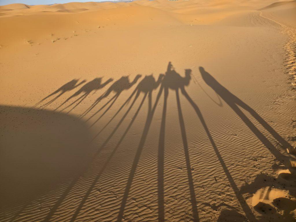 Erg Chebbi dunes