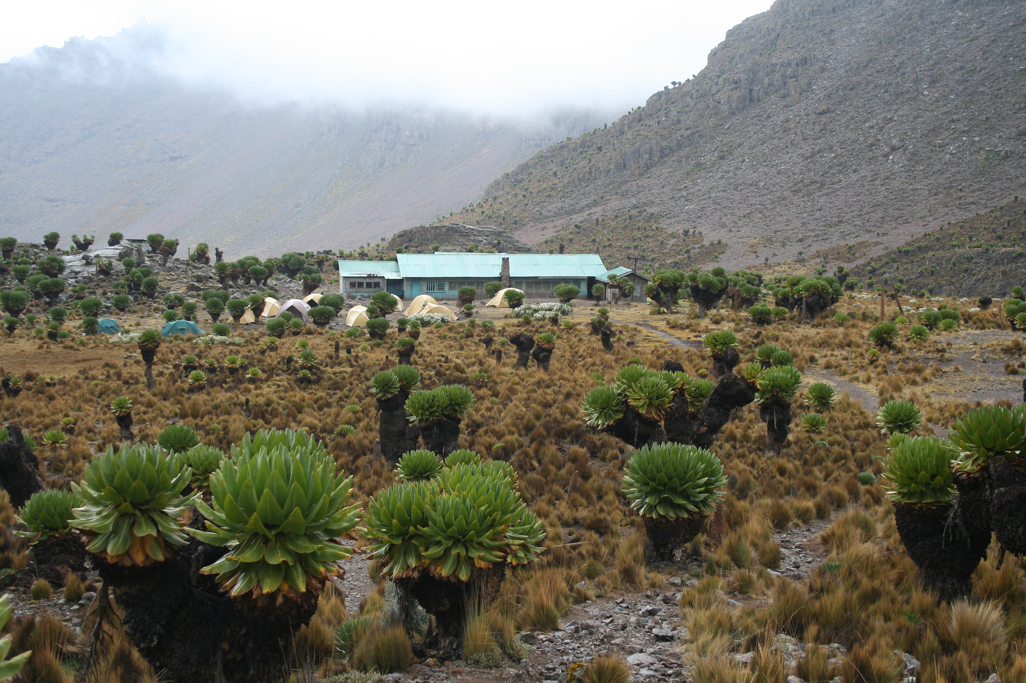 Shipton's Camp, Mount Kenya - Malaika Travel