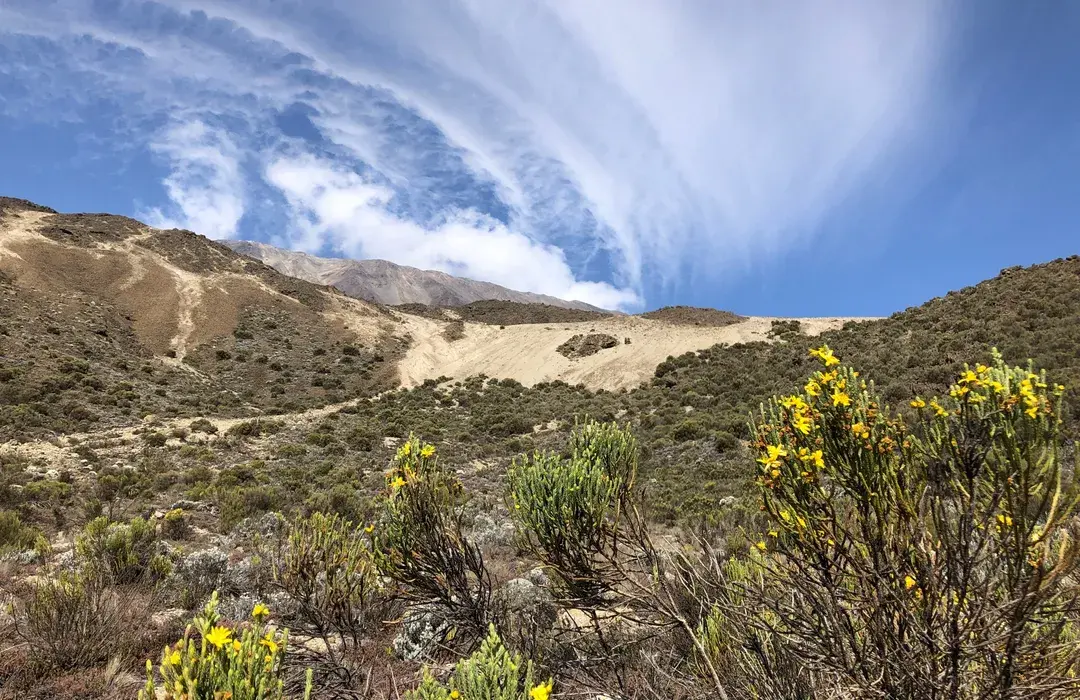 Kilimanjaro via Lemosho Route
