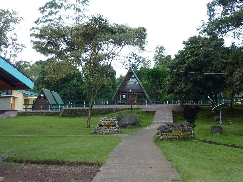 Mandara Hut - Marangu Route Kilimanjaro - Malaika Trave
